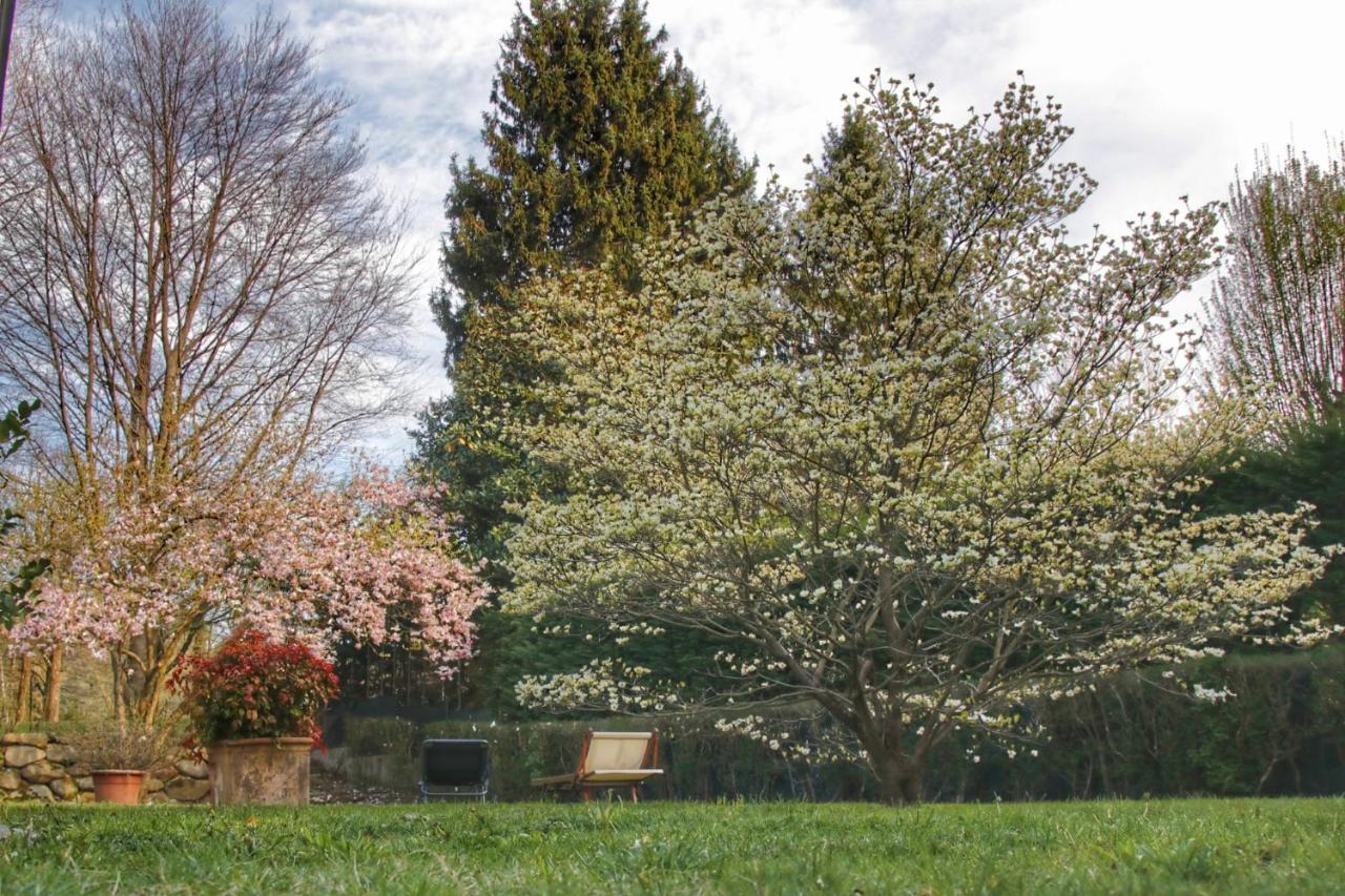 b&b le magnolie Carimate Extérieur photo
